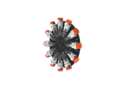 iRoll DR24 iRoll DR24